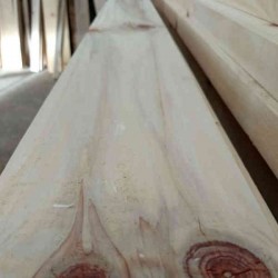 Viga De Pino Paraná Cepillado 3x10x3.05 a 5.50