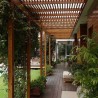 Listón Pino Paraná 1" X 2" Por Metro Lineal para Pérgola