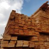 Tablas Madera Saligna en Bruto 1x4 de 3.05 y 3.96 mts. Encofrados