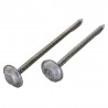Clavos Cabeza de Plomo 3" x Kg.